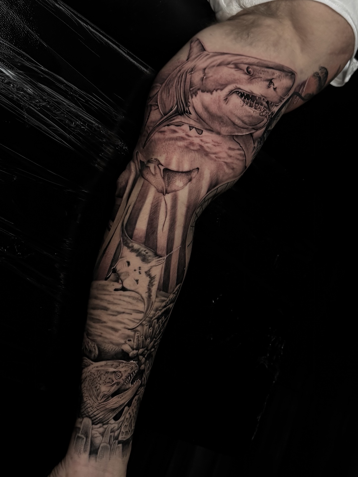 Shark realism tattoo
